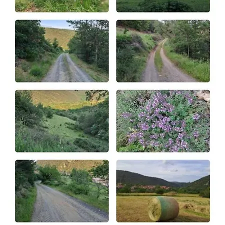 Casa vacanze La Du Berger