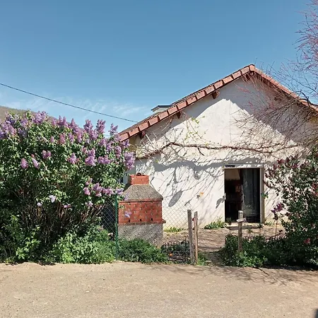 La Du Berger & Son Terrain De Petanque Holiday home *
