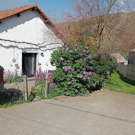 La Du Berger & Son Terrain De Petanque Holiday home *