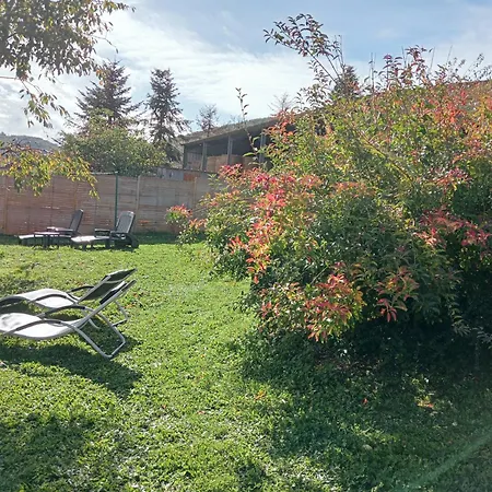 La Du Berger & Son Terrain De Petanque Holiday home Torsiac