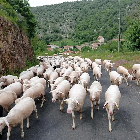 Дом отдыха La Du Berger *