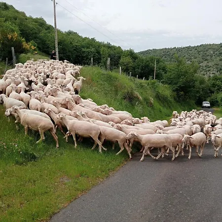 Дом отдыха La Du Berger Torsiac