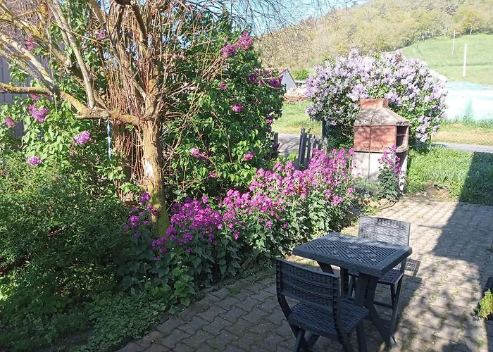 La Du Berger & Son Terrain De Petanque *